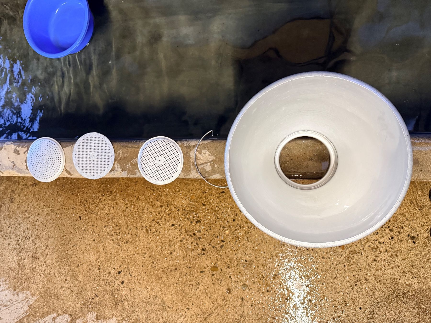 Sanitär: Milchsieb – Gebraucht aus Rüegsbach von lemick
