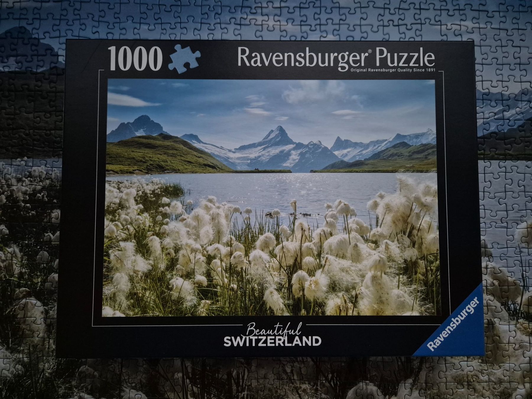 Ravensburger Puzzle: Puzzle Ravensburger 1000 Teile – Usato da Zunzgen venduto da Flipflap02