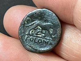 Römische Münze Colonia Antik
