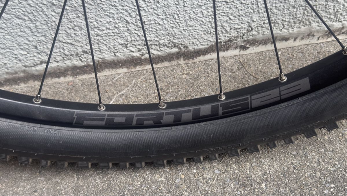 Hope Pezzi di ricambio: Hope Pro4 Laufräder  – Usato da hochdorf venduto da oxido007 8