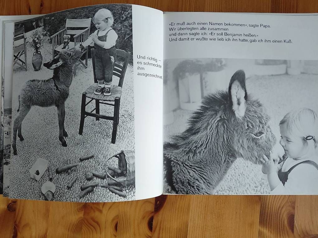 Bücher: Mein Esel Benjamin/Der Regenbogenfisch stiftet Frieden. – Gebraucht aus Zollikerberg von Inhal 1