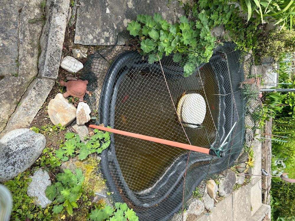 Teich Kaufen auf Ricardo