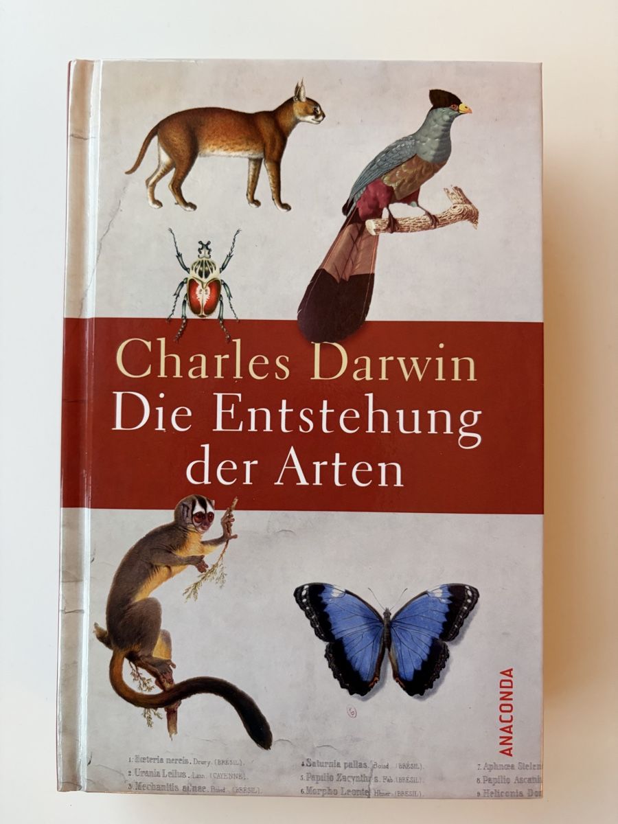 Libri: Charles Darwin - Die Entstehung der Arten, Top Zustand – Nuovo (secondo la descrizione) da Oberägeri venduto da MRCRAZY9