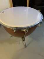 Ludwig Timpani - Fiber - 29 Zoll