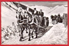 DAVOS PFERDESCHLITTEN 1955