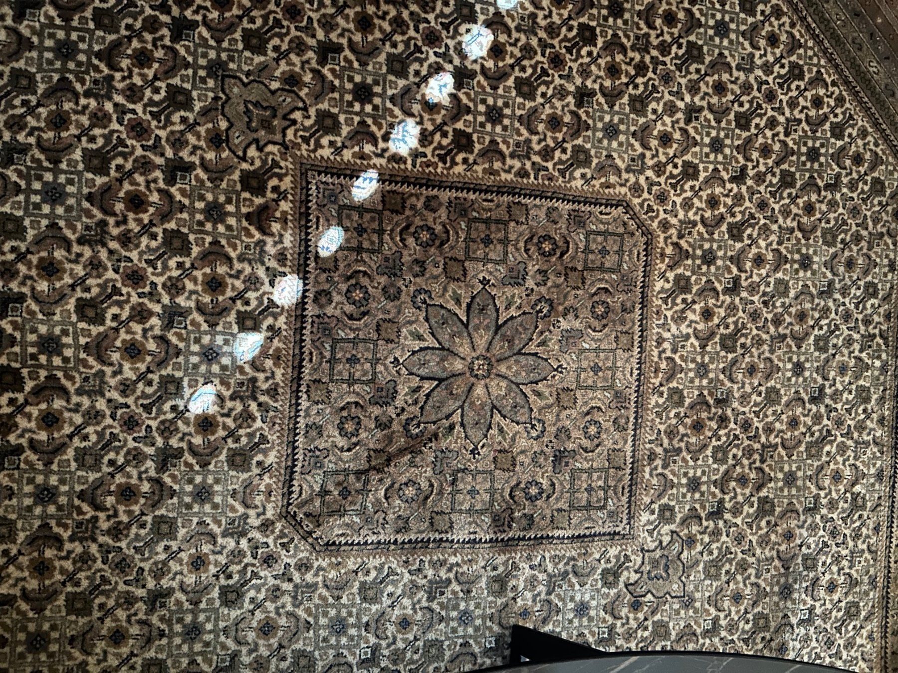 Teppiche: Orientteppich Indien, handgeknüpft – Gebraucht aus Untereggen von mara15 5