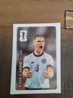 WM 2026 Cola Panini Sticker Kimmich