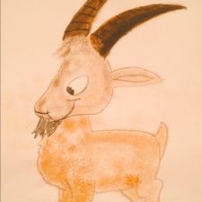 Profile image of musigschopf