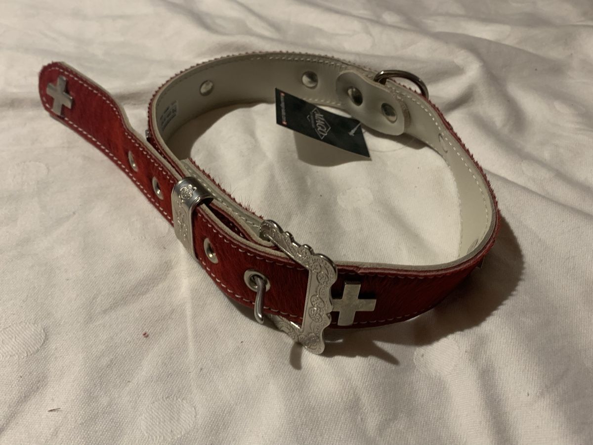Guinzagli & Collari: Appenzeller Hundehalsband Swiss Made – Nuovo (secondo la descrizione) da Dotnacht venduto da 007ym