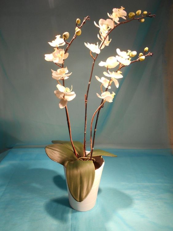Avoeco Künstliche Orchidee, 38 Cm Höhe | Extrem Realistisch Mit Seidenblüten & Strukturierten Blättern | Im Terrakotta-Topf | Für Home, Office & Deko