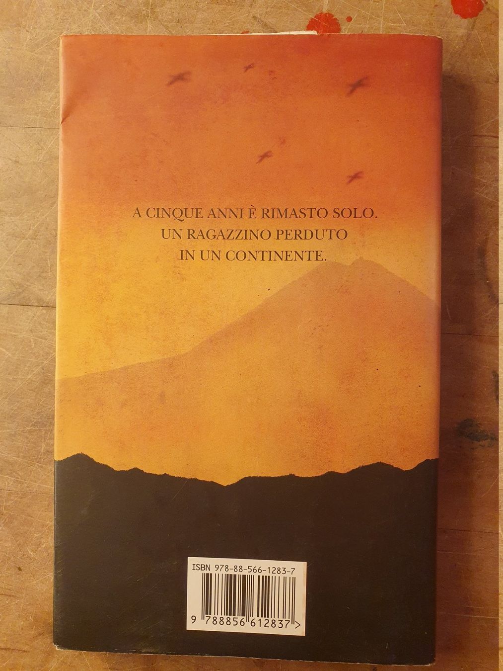 Libri: Li Ragazzo Perduto - Aher Arop Bol – Usato da Zürich venduto da loosebone 8