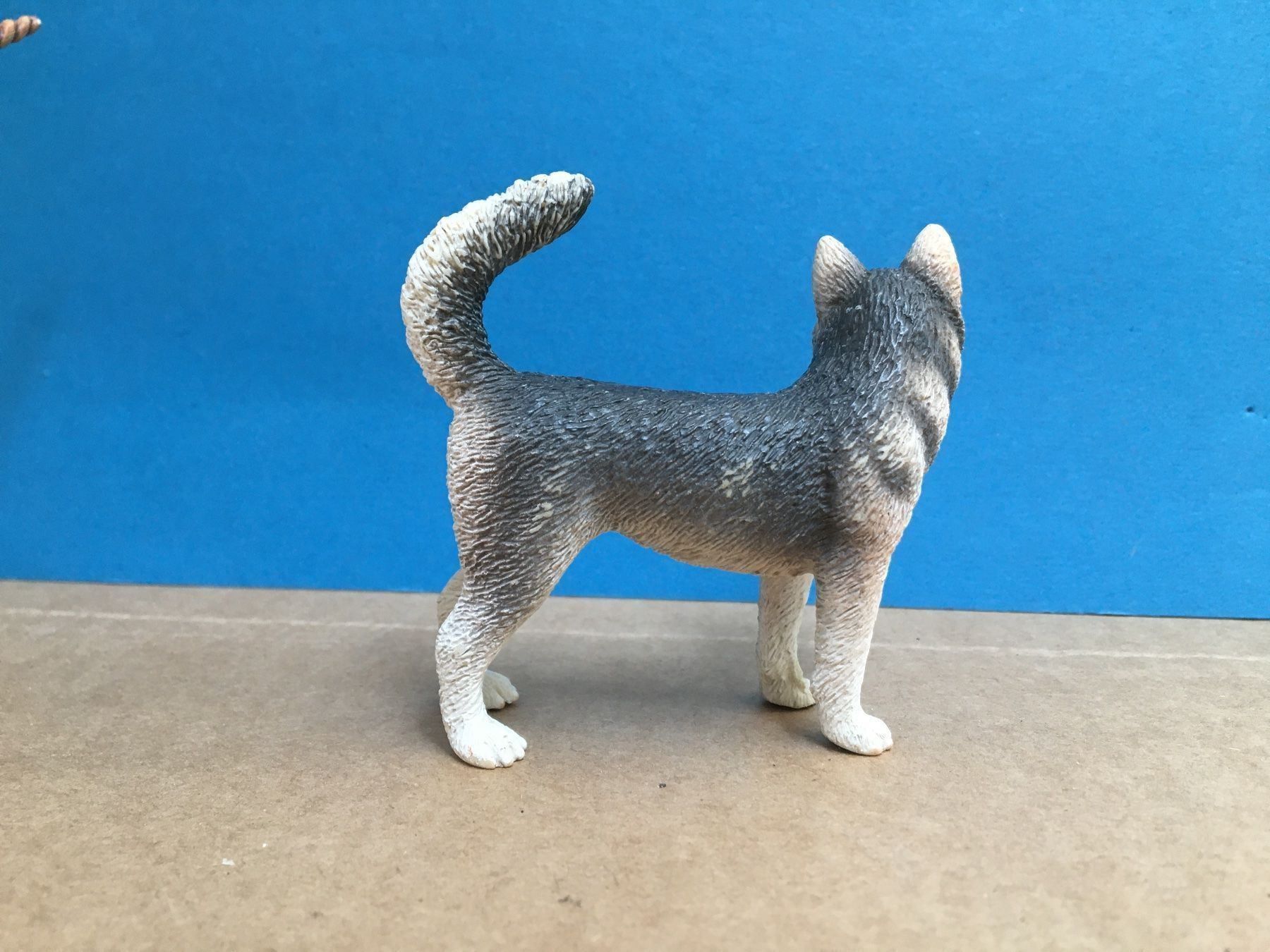 Schleich Figuren: Schleich 16372 Husky Hündin Hund – Gebraucht aus Ennetbaden von mapa05 1