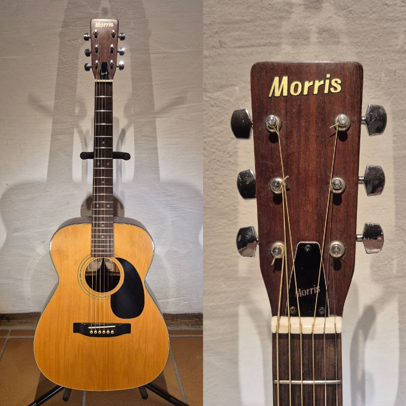 Strumenti musicali: Western Gitarre Morris F-301 – Usato da Winterthur venduto da NorrSydGuitars 1
