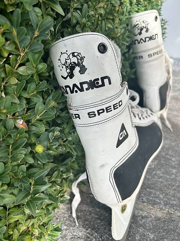 Pattini da ghiaccio: Schlittschuhe, Canadien, Grösse 42 – Usato da Murten venduto da lle_w5qs 1