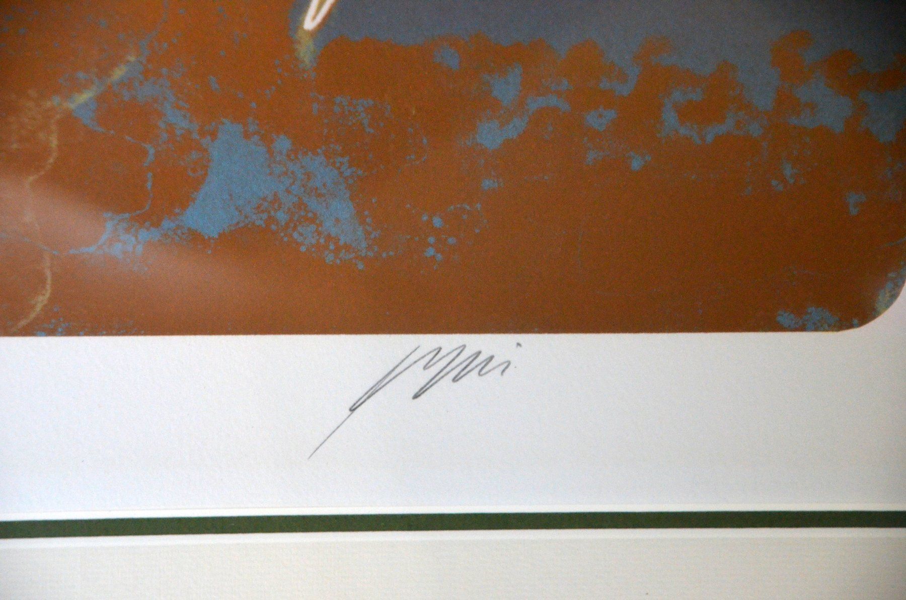 Grafica & Litografie: Erni Hans handsignierte Lithografie / lithographie signée – Usato da Collonges venduto da Auganien 5