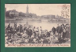 DRESDEN - Elb Klondyke - 1904
