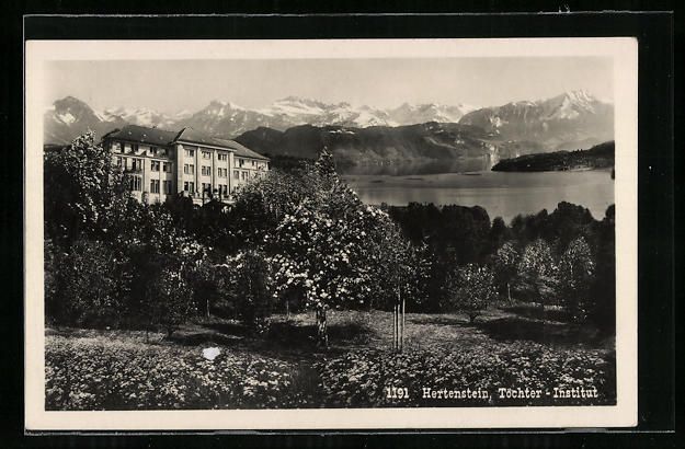 Cartoline postali: AK Hertenstein, Töchter-Institut – Usato da Berlin venduto da bartko-reher