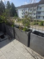 Pflanzkübel aus Beton 24 Stück