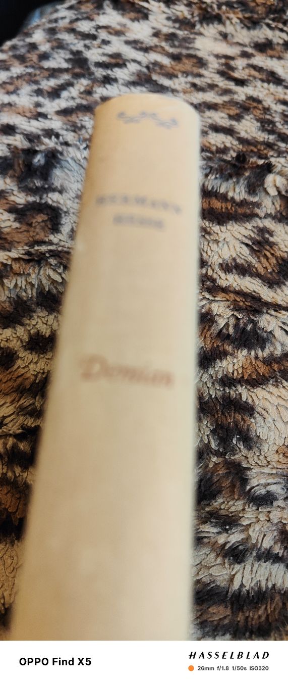 Bücher: Demian – Gebraucht aus Volken von katz5 1