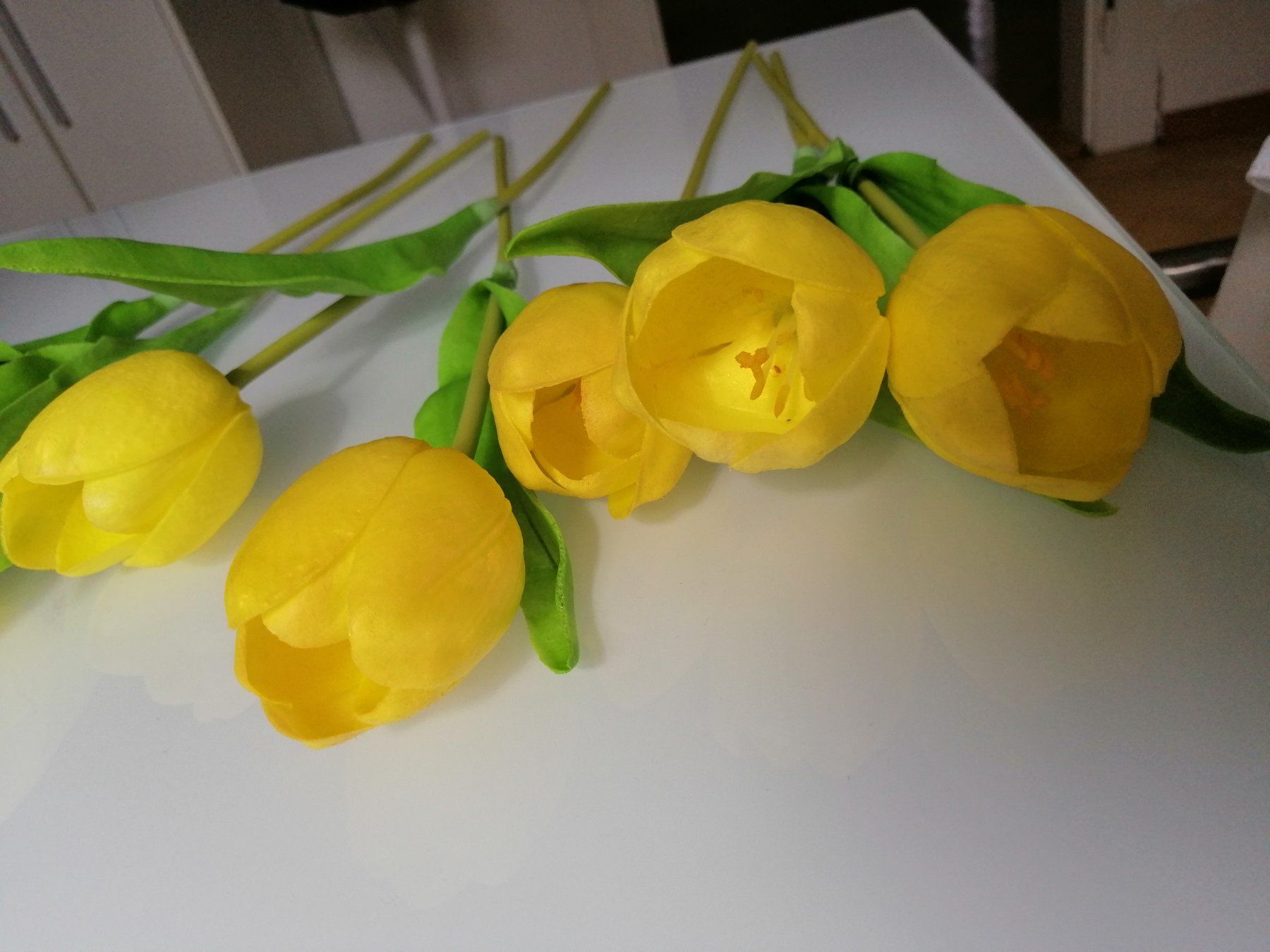 Pflanzen & Samen: gelbe kunst Tulpen 7 Stk. – Gebraucht aus Biel/Bienne von M.D.C 2