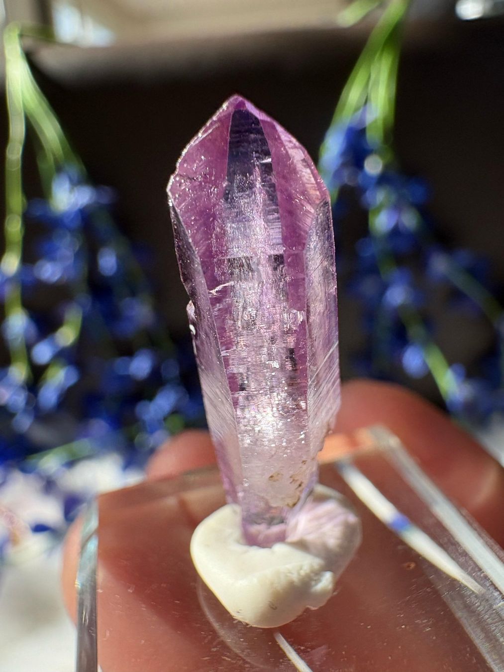 Pietre preziose: Veracruz Amethyst – Nuovo (secondo la descrizione) da Neuheim venduto da m.hald 1