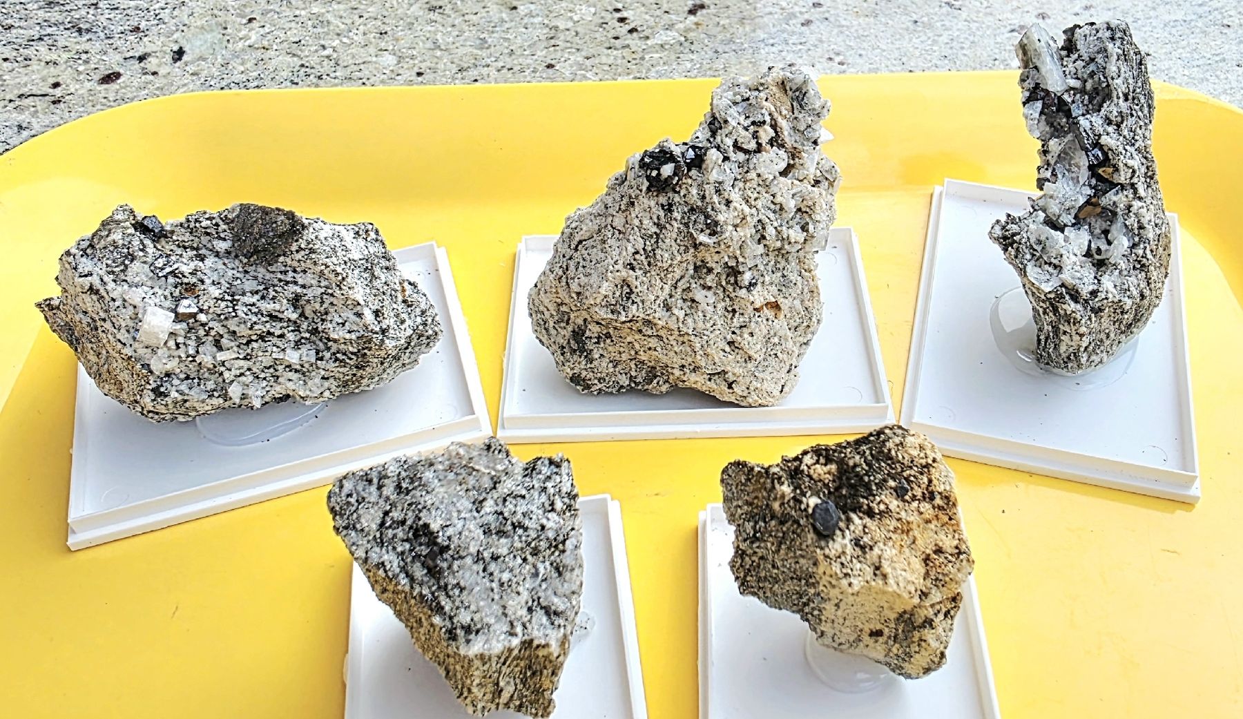 Minerali & Pietre curative: Mineralien Mix Ilmenit, Magnetit, Rutil, Binntal Lärcheltini – Usato da Glis venduto da nbu_65ys 7