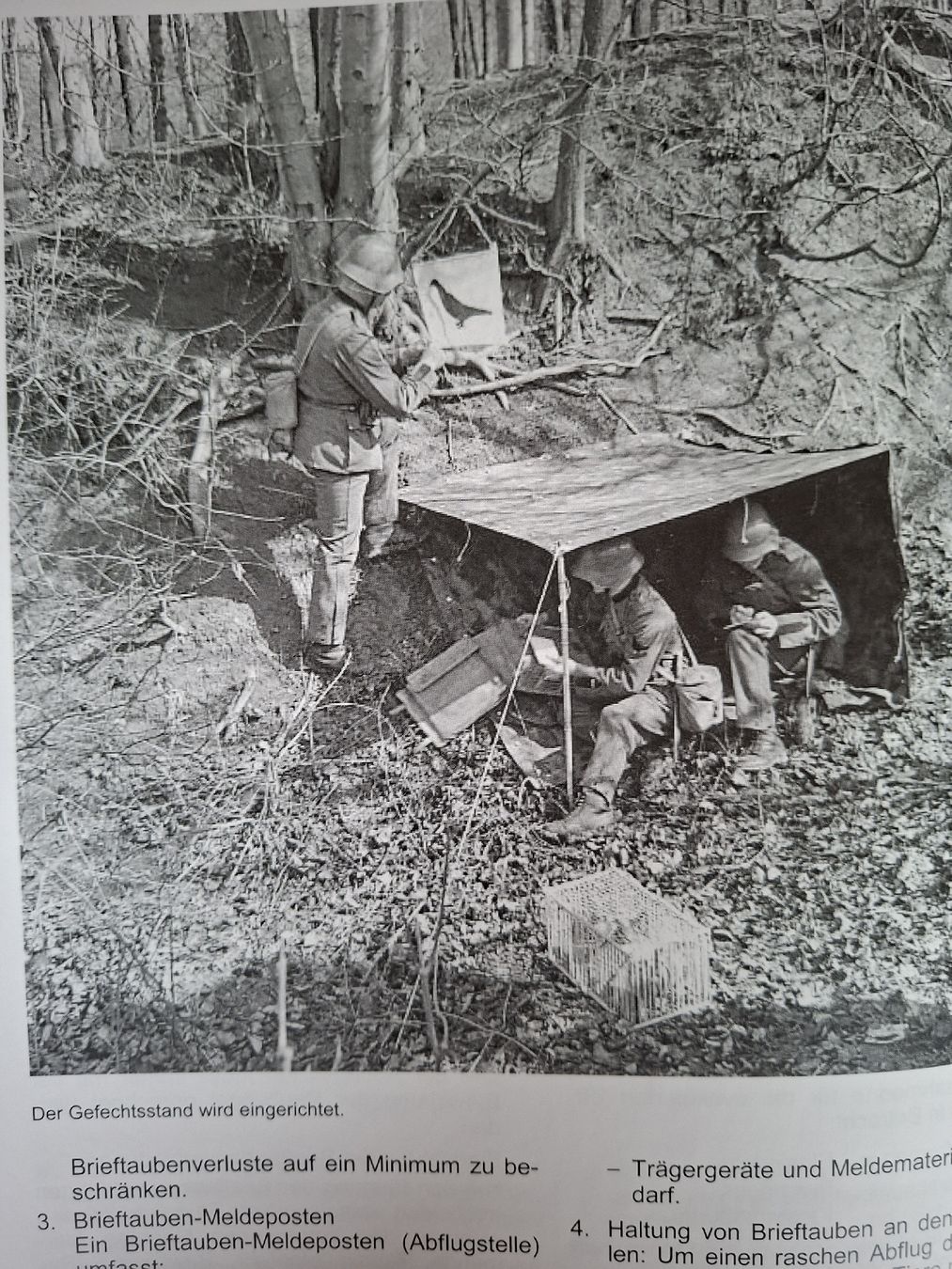Libri: Schweizer Armee Militär,  Brieftauben Buch – Usato da Schwanden Sigrisw venduto da len_9yqg 6