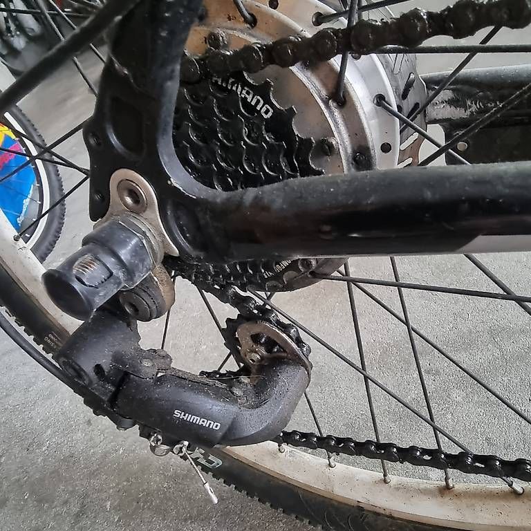 Biciclette: Fahrrad  – Usato da Aesch BL venduto da spillo1951 2