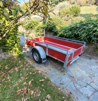 Saris Transportanhänger H200 "Woody"