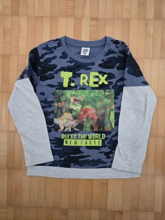 Dino Sweatsheart Gr. 116