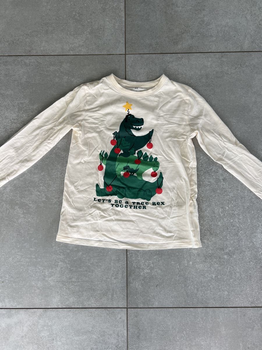 H&M Maglioni & Felpe: H&M Langarmshirt, Baum-Dino – Usato da Bottmingen venduto da ale3829