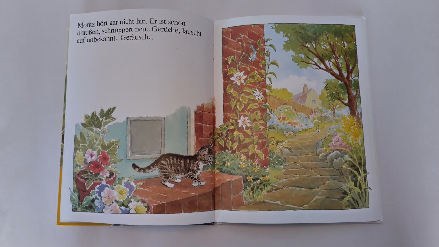 Livres: Moritz, Katzenkind / Katzen Bilderbuch mit Gucklöcher – D'occasion à Bellach par JingleJerry 4