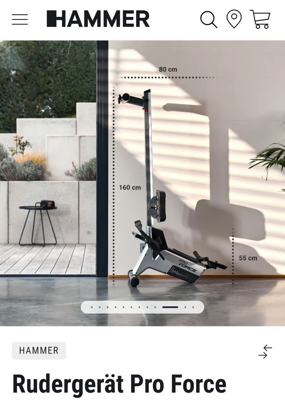 Hometrainer: Rudergerät Hammer Pro Force – Usato da Frauenfeld venduto da Solomillo 1