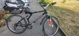 DIAMONDBACK