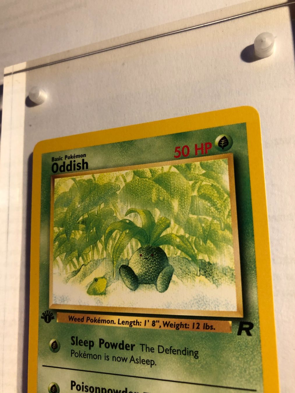 Carte collezionabili: Oddish 1st Team Rocket - MINT - ab 1.- – Usato da Giubiasco venduto da dan_pr8b 3