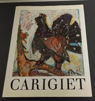 ALOIS *CARIGIET* - KUNSTBUCH* 25 X 30.5/160 S./NUEWERTIG