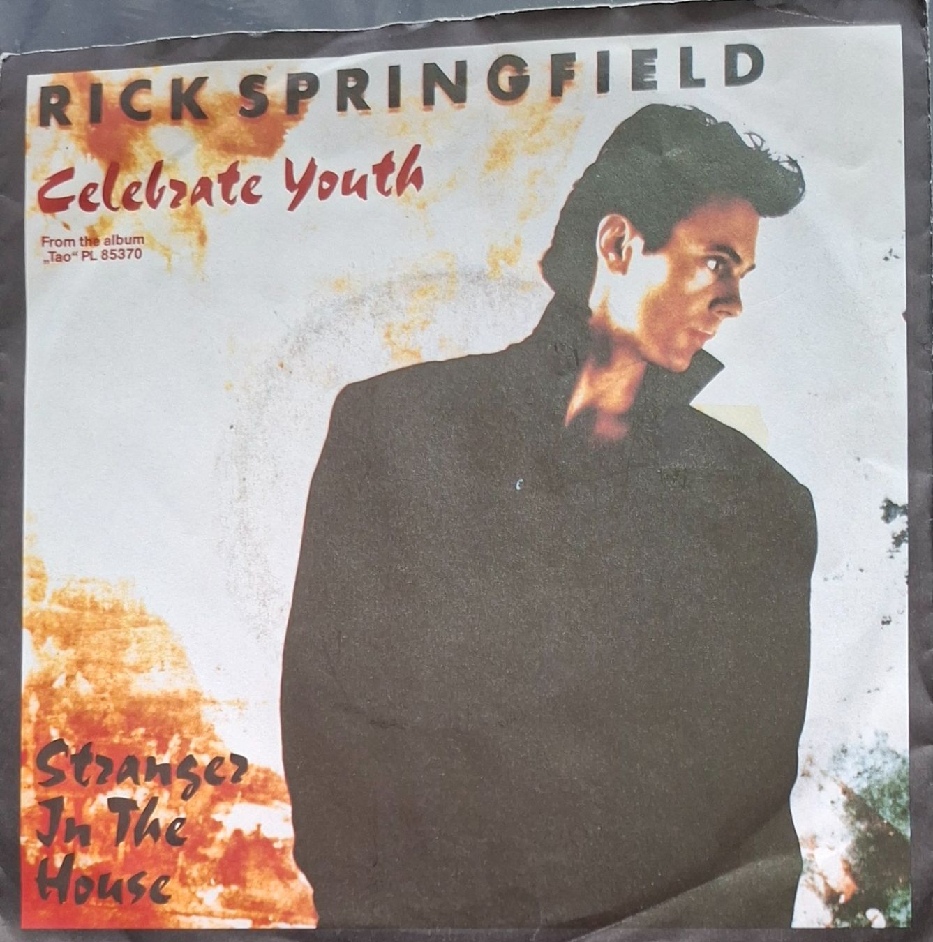 Dischi in vinile: Vinyl Single Rick Springfield - Celebrate Youth – Usato da Langenthal venduto da Modo39