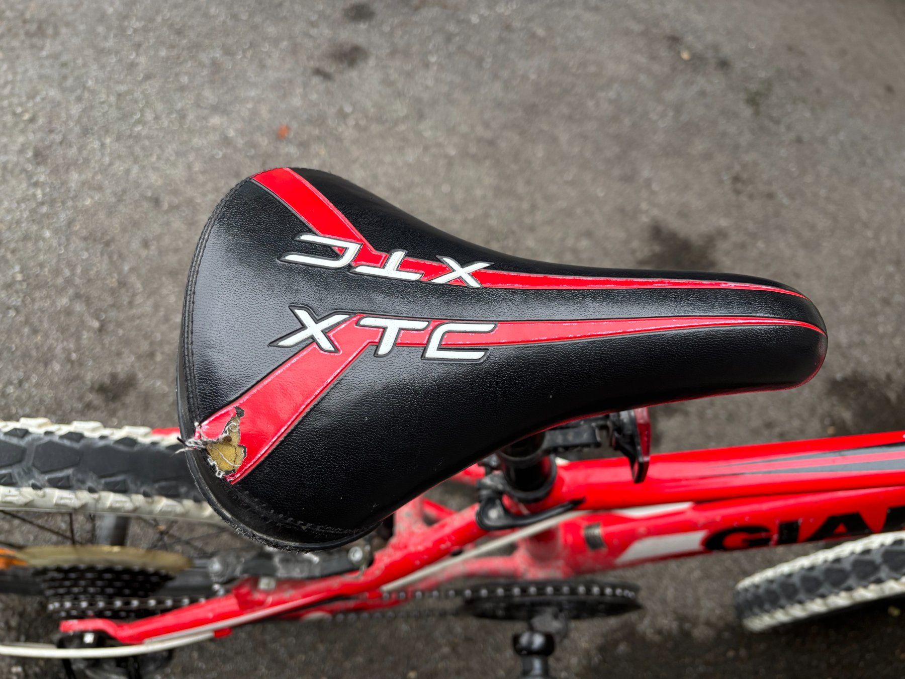 Giant Biciclette: Kindervelo Giant XTC 20 Zoll – Usato da St. Gallen venduto da fizz883 1