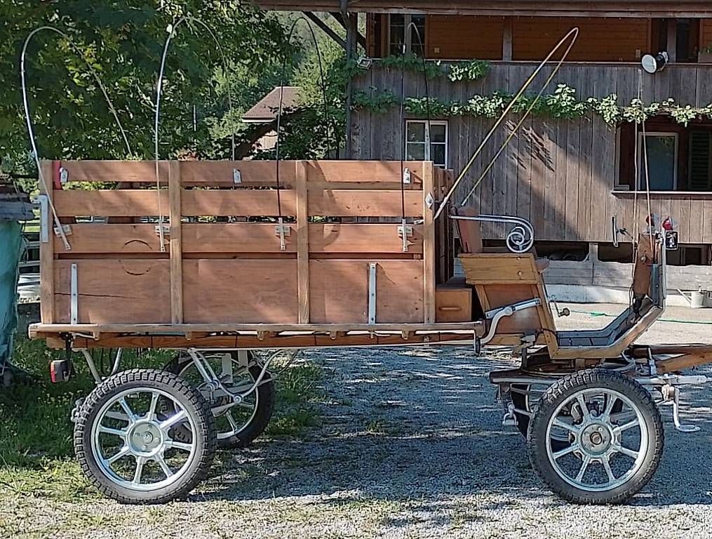 Kutschen: Gesellschaftswagen, Kutsche – Gebraucht aus Burgdorf von RosiVera 2