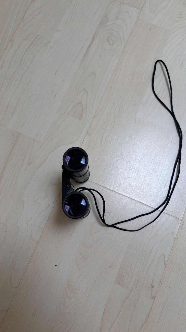 Leica Jumelles: Leica Fernglas mit Tasche – D'occasion à Therwil par Gian-Schneider 4
