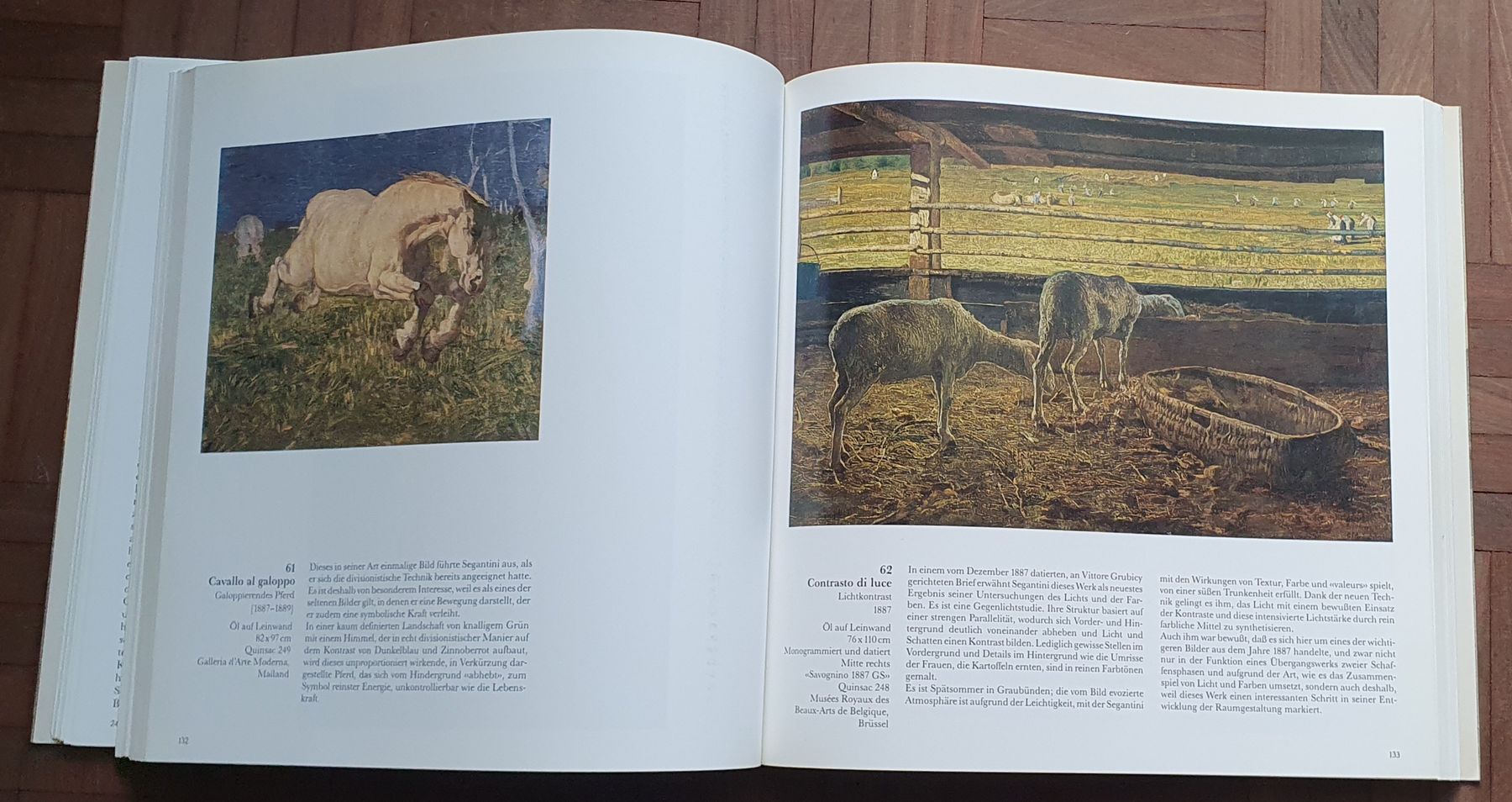 Libri: Buch - Giovanni Segantini – Usato da Kreuzlingen venduto da Rschweiz1 3