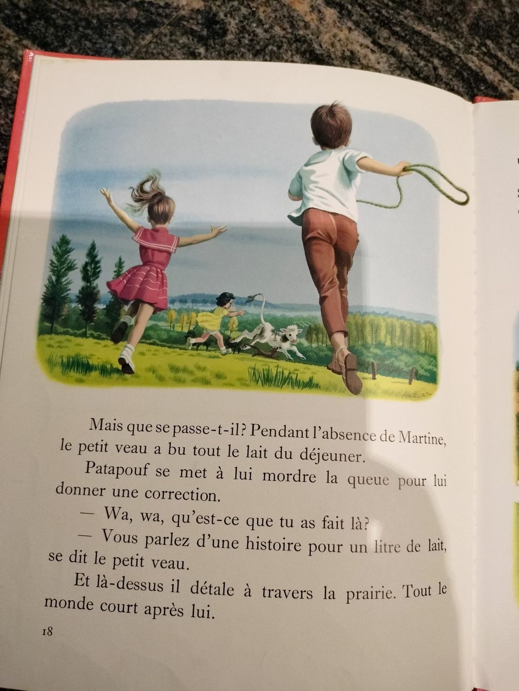 Libri: Martine fait du camping – Usato da Cortaillod venduto da rozinna 7