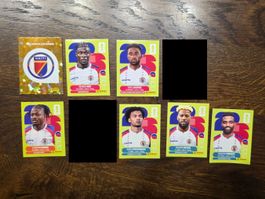 Panini 2026 WM USA HAI Haiti 7 Stk. (Preis pro Stück!!!)