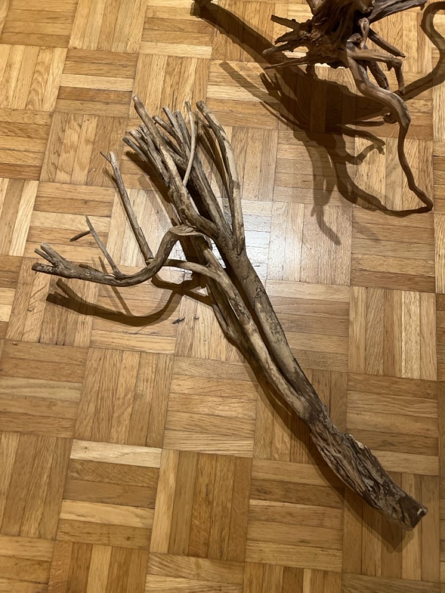 Acquari: Aquarium Holz  – Usato da Walkringen venduto da ise_v5dn 5