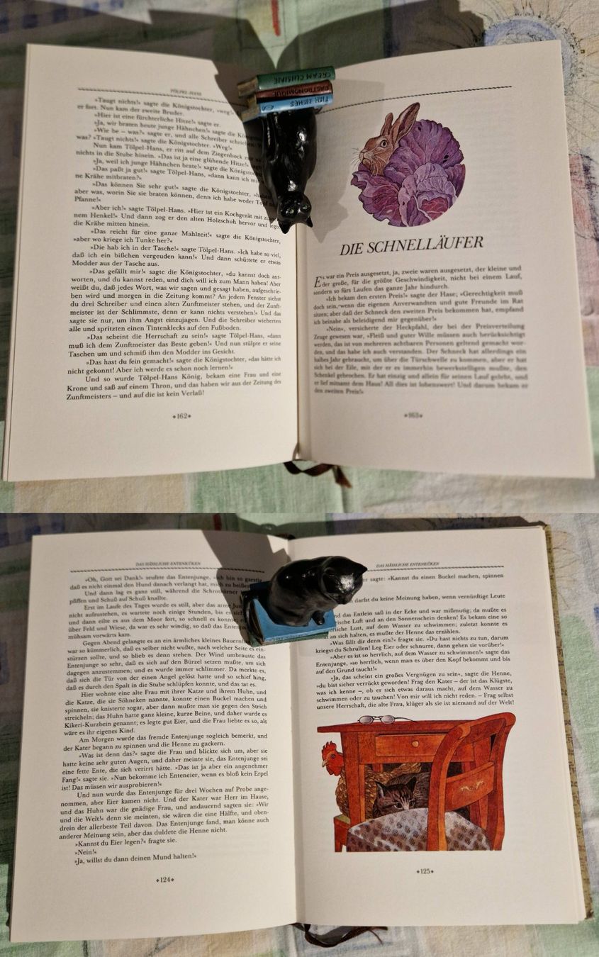 Libri: Mutter Holunder - 21 Märchen aus dem Teekessel H.C. Andersen – Usato da Zürich venduto da silver-team 7
