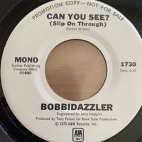 Bobbidazzler - Can You See? // 7" - 1. US-Promo 1975  TOP
