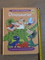 Wie neu: Dinosaurier - Klappenbuch Buch Kinder