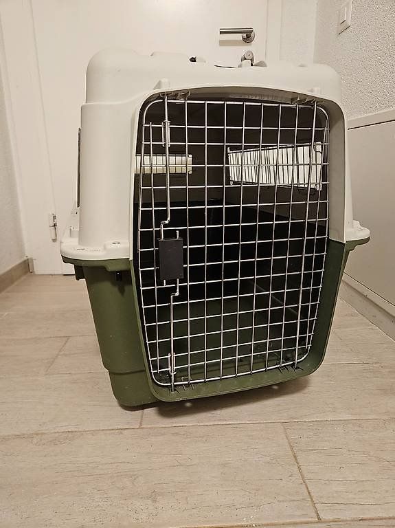 Gabbie, trasporto & Sicurezza: Transportbox Feria (Hundebox) – Usato da Neunkirch venduto da shortina