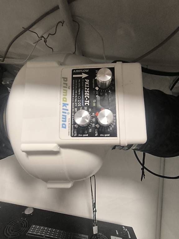Growbox Altro: Growbox komplett – Usato da Konolfingen venduto da dom_t6m6 3