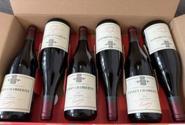 6x Trapet Gevrey-Chambertin Ostrea 2022 OHK